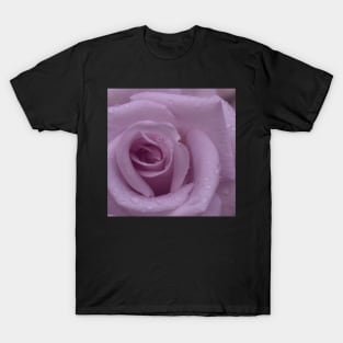 Pink Rose Close Up T-Shirt